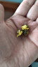 同仁堂品牌 北京同仁堂菊花茶100克 桐乡原产胎菊可搭枸杞玫瑰花化橘红 实拍图