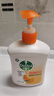 滴露（Dettol）洗手液柑橘500g瓶 健康抑菌消毒清爽 儿童家庭非补充装替换 实拍图