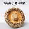 十月稻田 香菇 200g 干香菇 厚蘑菇冬菇 山珍菌菇干货 煲汤火锅炒菜食材 实拍图