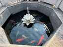 京东京造【100%纯棉】男士袜子男夏季船袜防臭抗菌超薄透气短款黑白灰6双 实拍图