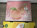 佳沛（zespri）新西兰 阳光金果25-27粒原箱特大果单果124-146g 猕猴桃水果礼盒 实拍图
