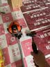 亿力吸尘器车载家用手持桶式22000pa超强大吸力工业开荒保洁沙发除毛地毯强力宠物吸猫毛神器6253-10L 实拍图
