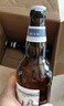 青岛啤酒（TsingTao）精酿白啤全麦原麦汁浓度10°P  500ml*12瓶整箱装 实拍图