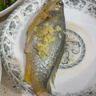 三都港 冷冻三去黄花鱼500g/3条装 小黄鱼 深海鱼 生鲜 鱼类 烧烤食材 实拍图