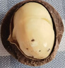 百草味高端夏威夷果500g 每日坚果休闲零食罐装送礼【本味甄果】 实拍图