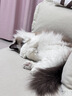 诚实一口P40全价猫粮成猫幼猫室内外80%鲜肉高蛋白长肉美毛鸡鱼味1.5kg 实拍图