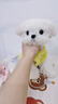 欧恩焙加拿大原装进口无谷小型犬低温烘焙配方全犬粮全阶段成犬幼犬狗粮 【囤货装】兔肉小型犬12.5磅/5.67kg 实拍图