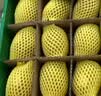 佳沛（zespri）新西兰 阳光金奇异果12粒特大果单果124-146g 猕猴桃水果礼盒 实拍图