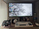 泰坦军团24.5英寸双侧入光屏2K 320Hz HDR600 FastlPS硬件低蓝光 旋转升降DyDs0.3ms电竞显示器 仓刀X256S+ 实拍图