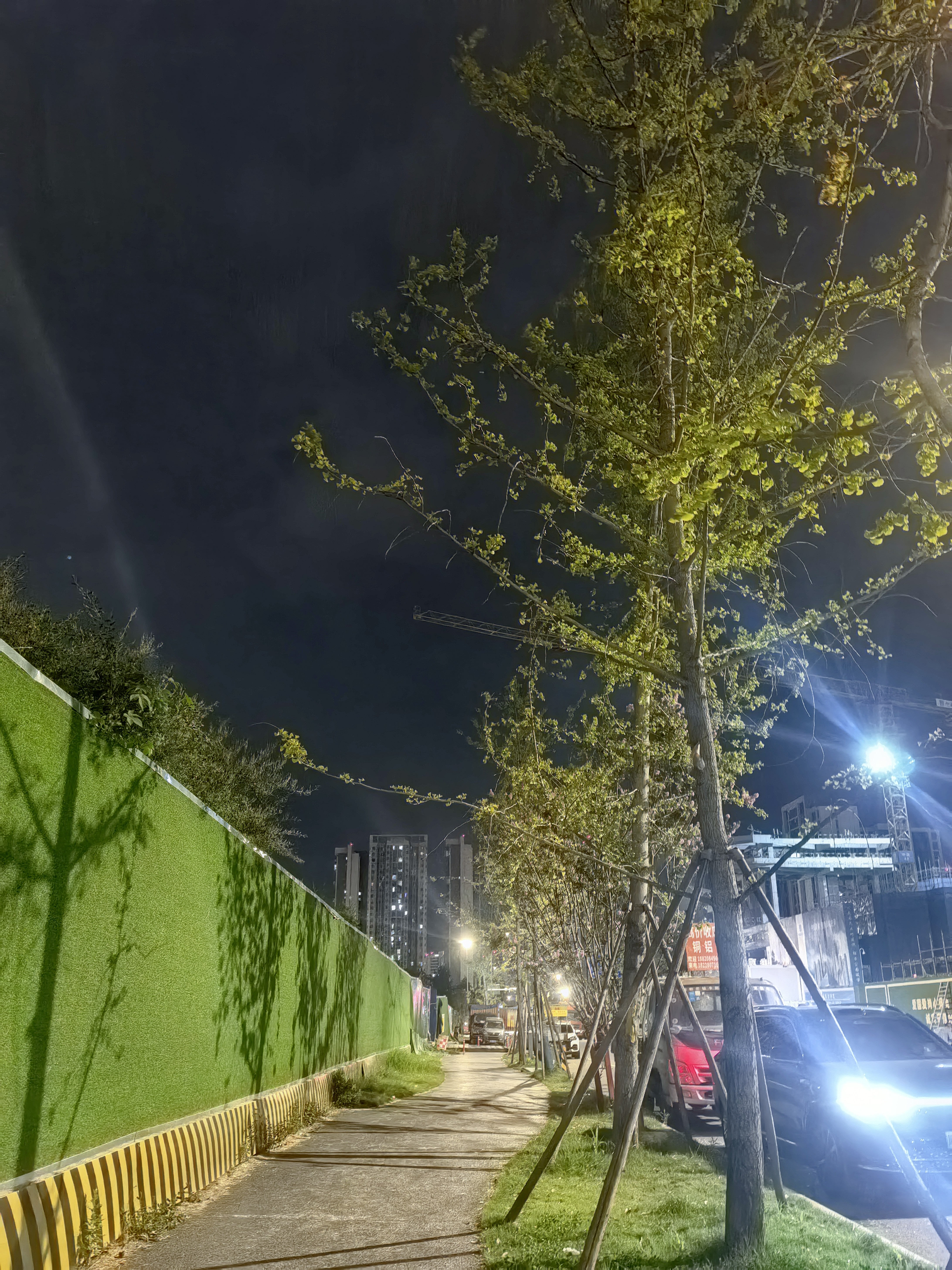 珀莱雅（PROYA）【刘亦菲同款】盾护防晒50ml 防水防汗防晒霜军训高倍七夕情人节 实拍图