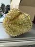 京鲜生 进口金枕头鲜榴莲 净重7-8斤 1个装 生鲜 新鲜水果 新鲜榴莲 实拍图