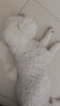 LEGENDSANDY蓝氏狗粮真鲜乳鸽中小型犬生骨肉冻干鲜肉犬粮6.18kg【囤货装】 实拍图