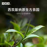 小罐茶金罐系列普洱熟茶 特级 熟茶 10罐40g 高端礼盒商务礼赠 黑茶散茶 实拍图