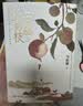 长安的荔枝+太白金星有点烦+龙与地下铁2023新版 小说 马伯庸精选“长安新鲜事”套装（全三册）： 实拍图