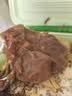 周家口五香酱牛肉牛腱熟食卤牛肉河南特产零食代餐真空即食速食礼品礼盒 【大块牛腱礼盒】酱卤牛腱130g*8袋 实拍图