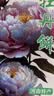 挚月洛阳牡丹酥鲜花饼720g河南特产伴手礼玫瑰饼牡丹饼糕点心年货礼盒 实拍图