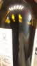 茅台（MOUTAI）经典棕标干红葡萄酒 750ml*6 整箱红酒（新老包装发货） 实拍图