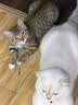 亚朵星球慢回弹记忆绵枕 枕头护颈枕芯基础款酒店睡眠高10cm开学宿舍 实拍图