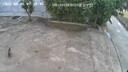 奥克斯4g太阳能摄像头室外无电无网终身免费流量免插电手机远程高清监控器家用户外360度无死角全景夜视 实拍图