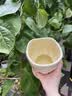 范爷家北欧ins风陶瓷花瓶插花摆件家居花瓶乔迁卧室客厅玄关民宿装饰 实拍图