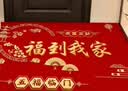 创迈仕入户门地垫门口地毯进门乔迁脚踏垫高端新年婚庆红色喜庆脚垫 实拍图