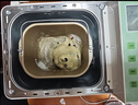 东菱（Donlim）无糖面包机双管加热智能双撒预约全自动多功能家用和面机26年新款面包机DL-4705Plus 实拍图