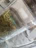 张家界莓茶正宗张家界原生态高山特级龙须芽尖+明前芽头含硒黄酮两罐共120g 实拍图