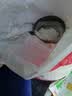 金沙河面粉 特一小麦粉50斤 京东自营 包子饺子馒头烙饼家用粉25kg 实拍图