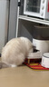 霍曼（Homerun）Real智能自动喂食器猫粮定时猫猫咪自动投食机PF20（不锈钢碗） 实拍图