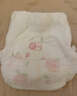 好奇（Huggies）铂金装小桃裤成长裤XL96片(12-17kg)加大号尿不湿【夏季散热王】 实拍图