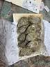 吉娜朵鲜活法国进口活体生蚝12只N0/N1/N4 生鲜牡蛎 即食刺身 源头直发 12N1 实拍图