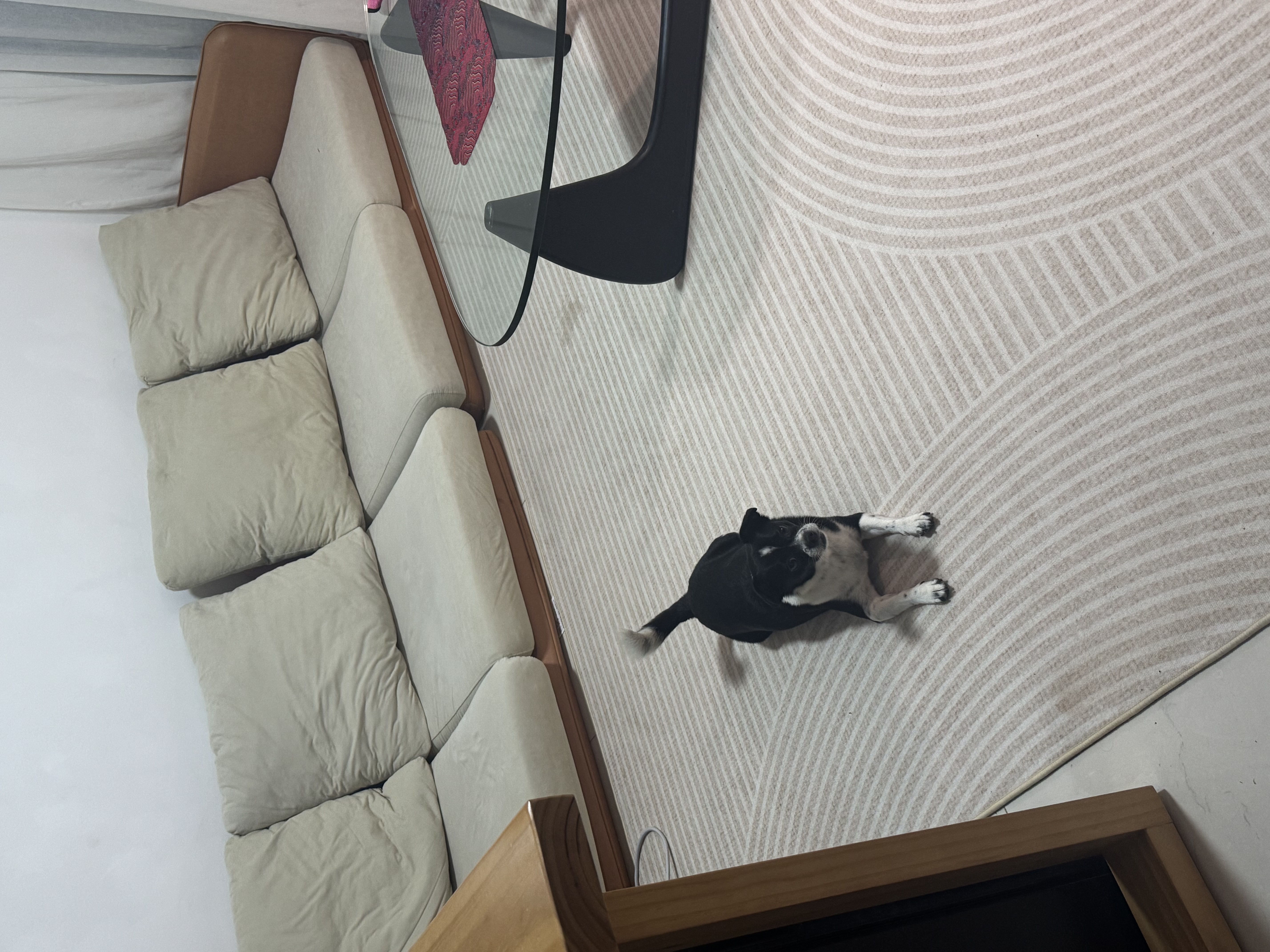 福东海 黄花鱼胶鲍鱼元贝六拼礼盒430克 羊肚菌菇海味干货滋补营养礼品 实拍图