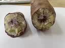广东湛江沙地冰淇淋红薯9斤新鲜现挖香薯白薯地瓜粉糯一点红紫薯L 带箱9斤中果【现挖现发】 实拍图