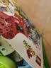 乐高（LEGO）得宝2-5岁幼儿大颗粒早教积木玩具家居饰品儿童生日礼物  10914 豪华缤纷桶 实拍图