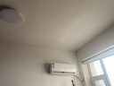申花空调补贴 新一级能效 大1.5匹冷暖节能空调挂机 家用 壁挂式 大1P省电变频 以旧换新 快速冷暖 大1.5匹 一级能效 单冷 无安装 送货入户 实拍图