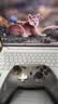 机械师（MACHENIKE）G5proV2 无线蓝牙游戏手柄 switch1/2类xbox手柄Steam手柄典藏版明末渊虚之羽 实拍图