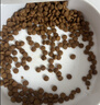 凯锐思猫粮银爪P28全价鲜肉冻干双拼猫粮亲和护肠胃成猫粮4斤 实拍图