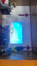 小米（MI）REDMI 智能电视 A75 75英寸 144Hz高刷 2+32GB L75MA-RAE 远场语音显示器 实拍图