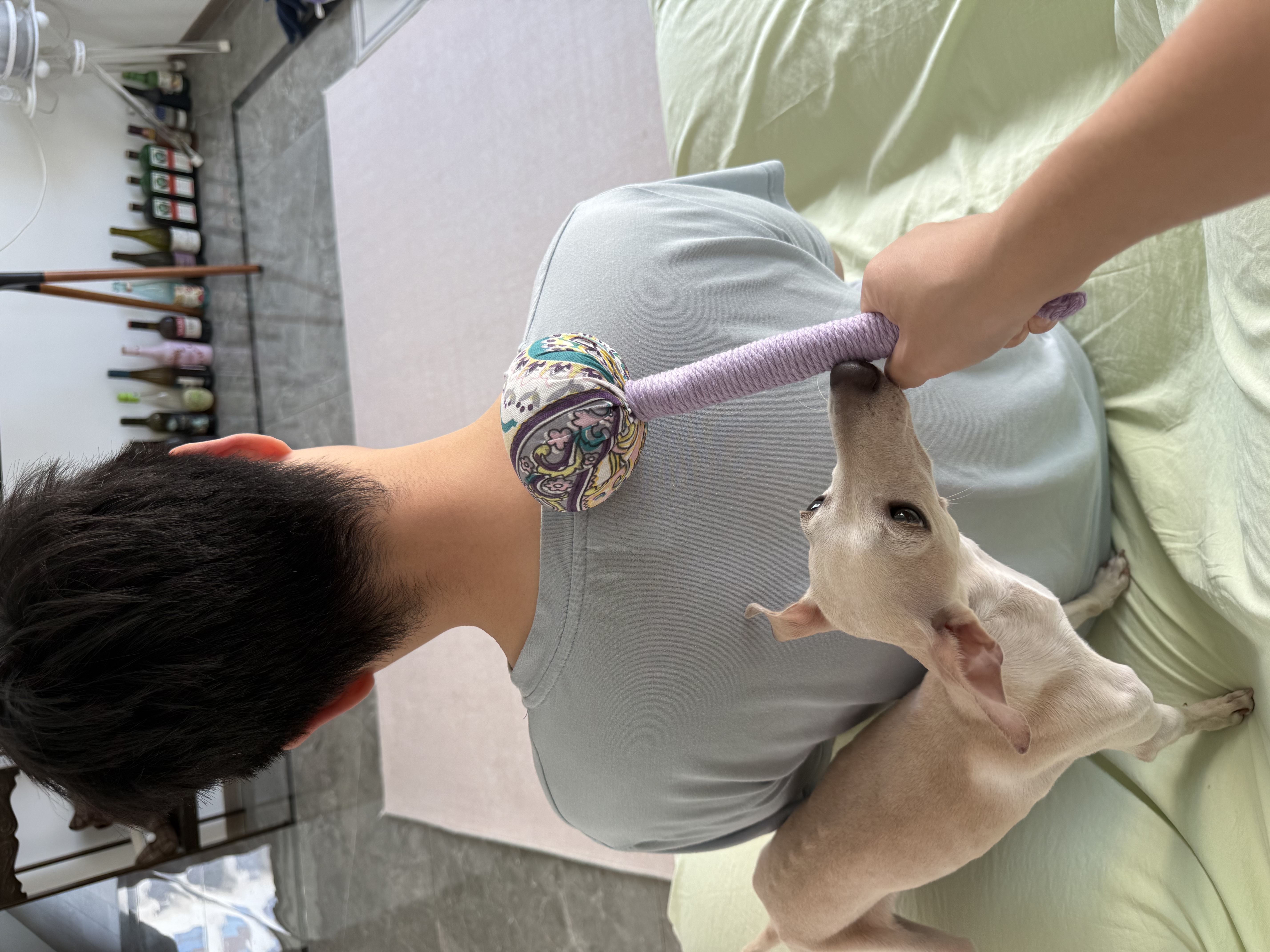 囍柿莲莲艾草锤按摩棒养生锤中秋节送父母生日礼物伴手小礼品艾灸锤按摩 实拍图