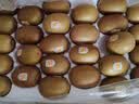 佳沛（zespri）新西兰阳光金果10个装单果重约103-114g 水果礼盒 猕猴桃 实拍图