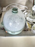 九阳（Joyoung）煮蛋器多功能智能蒸蛋器7个蛋量 ZD7-GE130（飞泉绿） 实拍图