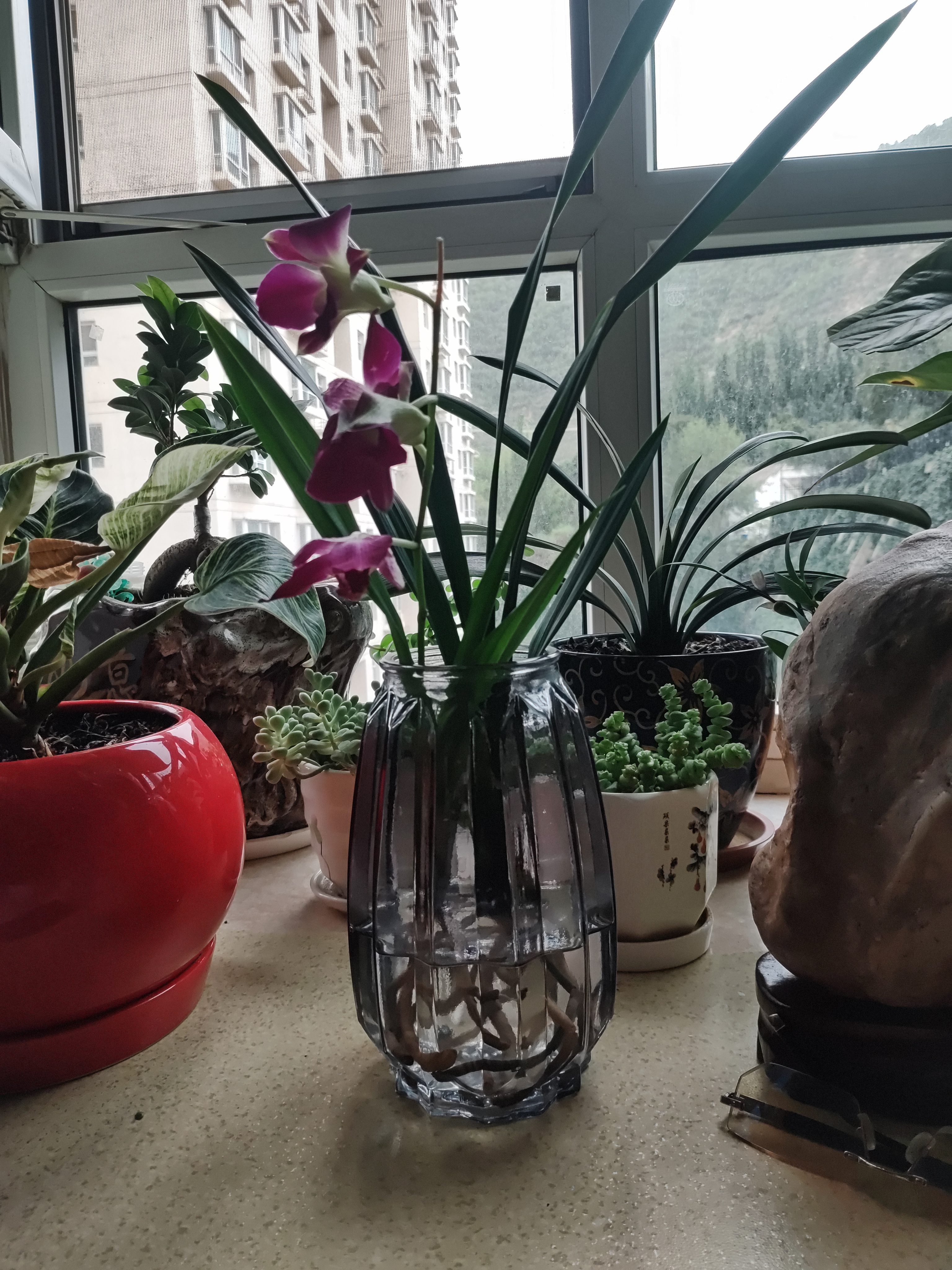 北欧轻奢玻璃花瓶透明客厅高级感插花水养鲜花装饰精致花器摆件 【烟灰组合】20高+27高璀璨 实拍图