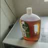 滴露（Dettol）消毒液洗衣衣物消毒水750mL 除螨杀菌混洗无忧 家居地板消毒 非84 实拍图