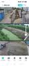 镭威视4g太阳能摄像头终身免流量AI室外免插电无电无网手机远程户外监控器家用360度无死角高清全景夜视 免充值】三镜头三画面+15天循环录像 365天免费换新+终身免费流量 实拍图