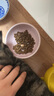乐优派防打翻高脚陶瓷猫碗防黑下巴狗碗高脚猫碗猫狗通用喂食碗口宽敞 实拍图