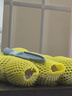 佳沛（zespri）新西兰阳光金果10个装单果重约103-114g 水果礼盒 猕猴桃 实拍图