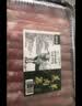 潮夫道原切羔羊羊肉卷400g羊肉片涮肉火锅食材麻辣烫烧烤 实拍图