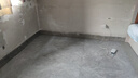 利施邦水性地毯胶水铺地毯专用胶水PVC地板胶PU革地坪水泥地万能地毯胶 实拍图
