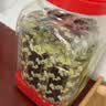 波力海苔渔趣夹心脆片120g约60包海味休闲零食儿童小吃脆紫菜中秋罐装 实拍图