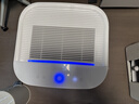 霍尼韦尔（Honeywell）空气净化器家用除甲醛除雾霾除PM2.5智能净化器除菌除甲流病毒 KJ820F-P21D 实拍图